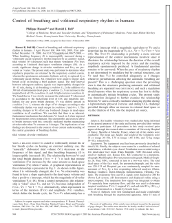 Control of breathing and volitional respiratory rhythm in humans