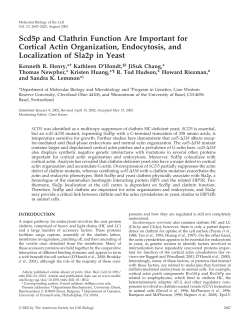 Scd5p and Clathrin Function Are Important for Cortical Actin