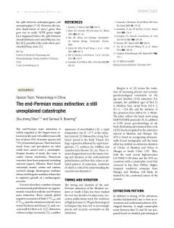 The end-Permian mass extinction: a still unexplained catastrophe