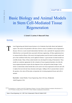 Basic Biology and Animal Models in Stem Cell