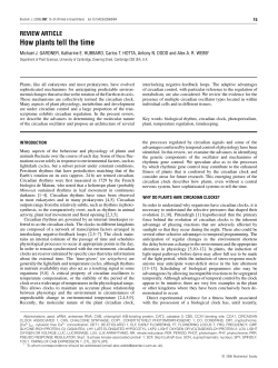 How plants tell the time
