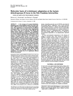 Molecular basis of evolutionary adaptation at the lactate