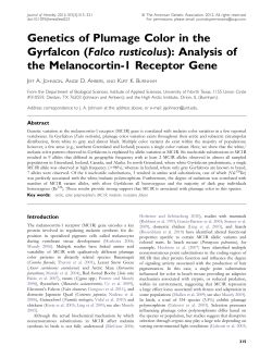 Genetics of Plumage Color in the Gyrfalcon