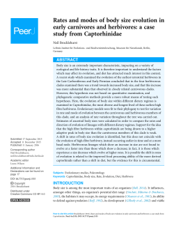 Rates and modes of body size evolution in early carnivores