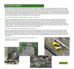 the songs of spring - Sunshine Coast Botanical Garden