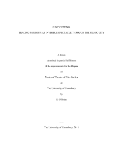 as a PDF