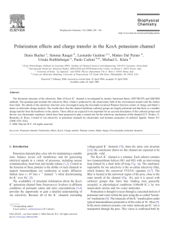 Polarization effects and charge transfer in the KcsA potassium channel