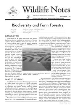 Biodiversity and farm forestry1.47 MB