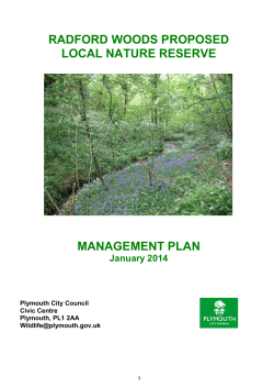 Management Plan - Plymouth City Council