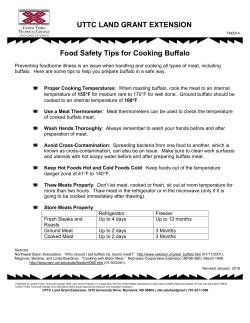 Buffalo - Food Safety Tips - United Tribes Technical College