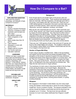 How Do I Compare to a Bat?