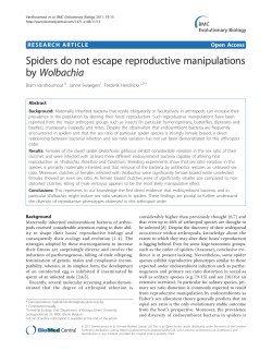 Spiders do not escape reproductive manipulations by Wolbachia