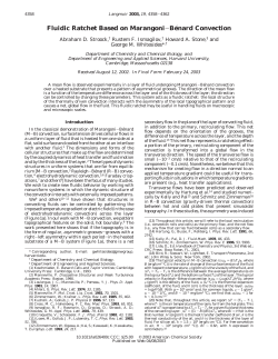 Fluidic Ratchet Based on Marangoni