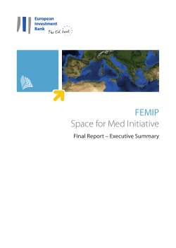 FEMIP - Space for Med Initiative: Final Report &ndash; Executive Summary