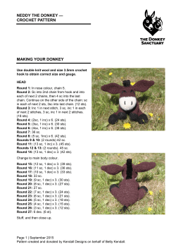 neddy the donkey &mdash; crochet pattern