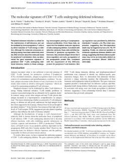 The molecular signature of CD8 T cells undergoing