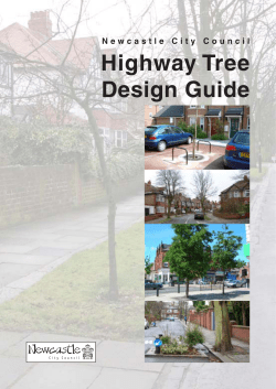 Highway Tree Design Guide