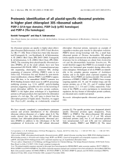 Proteomic identification of all plastid