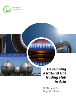 Developing a Natural Gas Trading Hub in Asia