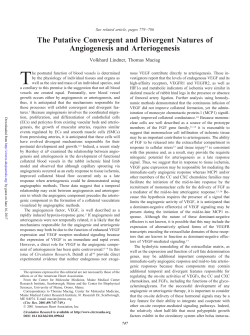 The Putative Convergent and Divergent Natures of Angiogenesis