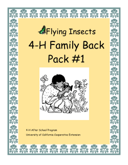 Study of Bugs (Entomology) Activity Folder