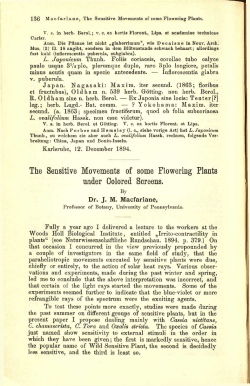 The Sensitive Movements of some Flowering Plants under Colored