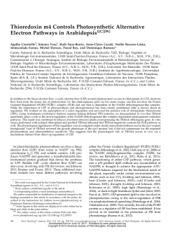 Thioredoxin m4 Controls Photosynthetic