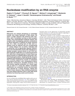 Nucleobase modification by an RNA enzyme