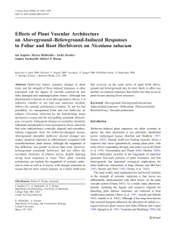 Effects of Plant Vascular Architecture on Aboveground