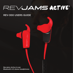 rev-300 users guide