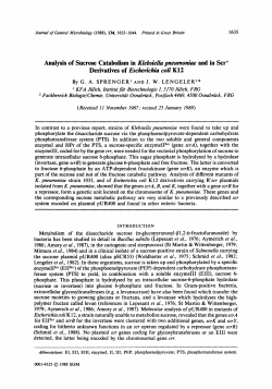 Analysis of Sucrose Catabolism in