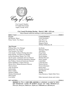 Meeting Minutes - Naples, Florida