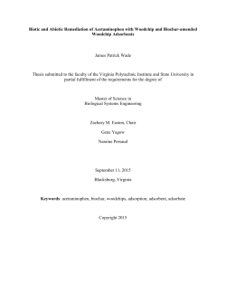 Biotic and Abiotic Remediation of Acetaminophen with Woodchip