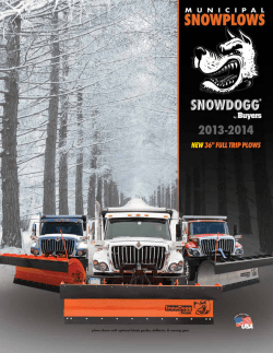 new36" full trip plows - Buyers Products Company