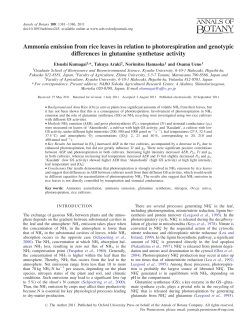 Ammonia emission from rice leaves in relation to