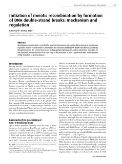Initiation of meiotic recombination by formation of DNA double