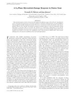 A G2-Phase Microtubule-Damage Response in Fission
