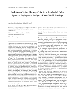 Avian Plumage and Colour Perception