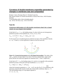 Curvature of double-membrane organelles