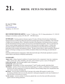 21. BIRTH: FETUS TO NEONATE