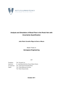 Analysis and Simulation of Blood Flow in the Portal Vein with