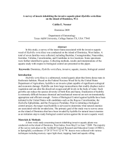A survey of insects inhabiting the invasive aquatic plant Hydrilla