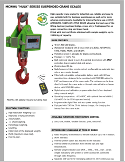mcwhu "hulk" series suspended crane scales