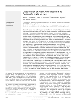 Classification of Pasteurella species B as Pasteurella oralis sp. nov.
