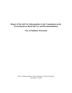 Draft Salt Use and Recommendations Report