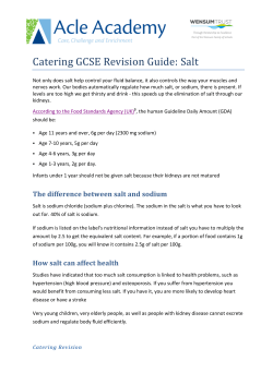 GCSE Catering - Revision Guide Salt
