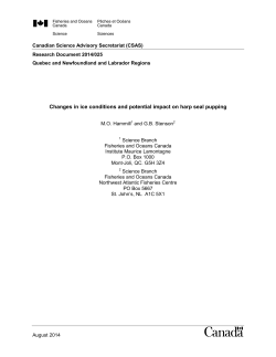 Changes in ice conditions and potential impact on harp seal pupping
