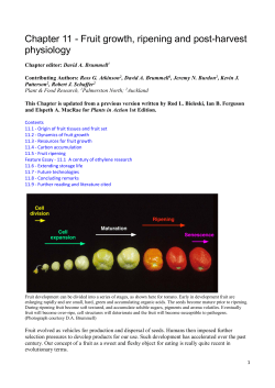 Chapter 11 - Fruit growth, ripening and post