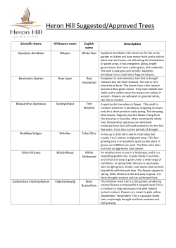 Heron Hill Suggested/Approved Trees