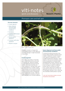 Phomopsis cane and leaf spot - The Australian Wine Research